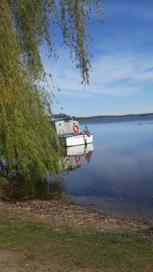 Ferienhaus Am Schaalsee Zarrentin am Schaalsee المظهر الخارجي الصورة
