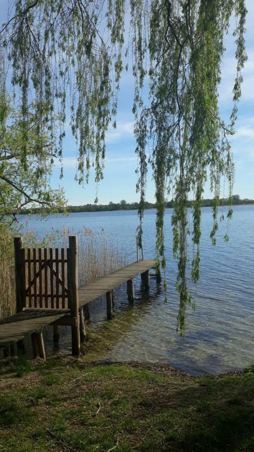 Ferienhaus Am Schaalsee Zarrentin am Schaalsee المظهر الخارجي الصورة